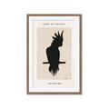 Picture of Vintage Cockatoo _GroupedProduct_Rectangle_Portrait_Framed_Matted_