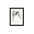 Picture of Chinoiserie Birds _GroupedProduct_Rectangle_Portrait_Framed_Matted_