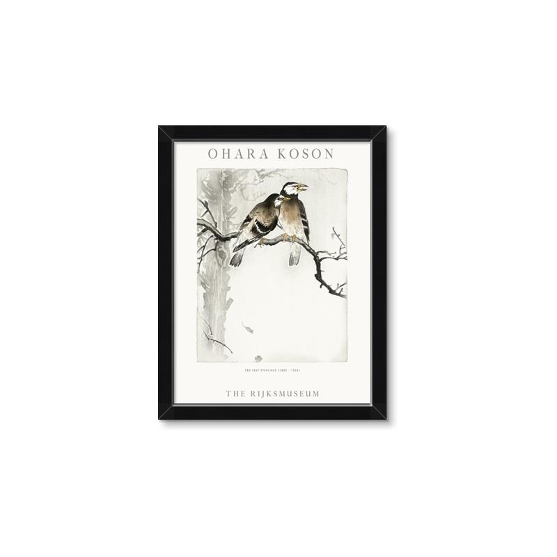 Picture of Chinoiserie Birds _GroupedProduct_Rectangle_Portrait_Framed_Matted_