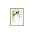 Picture of Chinoiserie Birds _GroupedProduct_Rectangle_Portrait_Framed_Matted_