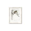 Picture of Chinoiserie Birds _GroupedProduct_Rectangle_Portrait_Framed_Matted_
