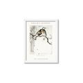 Picture of Chinoiserie Birds _GroupedProduct_Rectangle_Portrait_Framed_Matted_