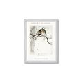 Picture of Chinoiserie Birds _GroupedProduct_Rectangle_Portrait_Framed_Matted_