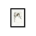 Picture of Chinoiserie Birds _GroupedProduct_Rectangle_Portrait_Framed_Matted_