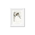 Picture of Chinoiserie Birds _GroupedProduct_Rectangle_Portrait_Framed_Matted_