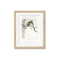 Picture of Chinoiserie Birds _GroupedProduct_Rectangle_Portrait_Framed_Matted_