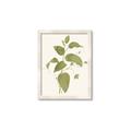 Picture of Leaf Mirage I _GroupedProduct_Rectangle_Portrait_Framed_Matted_