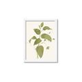 Picture of Leaf Mirage I _GroupedProduct_Rectangle_Portrait_Framed_Matted_