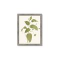 Picture of Leaf Mirage I _GroupedProduct_Rectangle_Portrait_Framed_Matted_