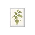 Picture of Leaf Mirage I _GroupedProduct_Rectangle_Portrait_Framed_Matted_