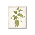 Picture of Leaf Mirage I _GroupedProduct_Rectangle_Portrait_Framed_Matted_