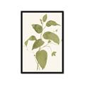 Picture of Leaf Mirage I _GroupedProduct_Rectangle_Portrait_Framed_Matted_
