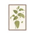 Picture of Leaf Mirage I _GroupedProduct_Rectangle_Portrait_Framed_Matted_
