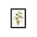 Picture of Leaf Mirage I _GroupedProduct_Rectangle_Portrait_Framed_Matted_