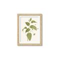 Picture of Leaf Mirage I _GroupedProduct_Rectangle_Portrait_Framed_Matted_