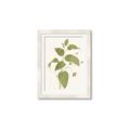 Picture of Leaf Mirage I _GroupedProduct_Rectangle_Portrait_Framed_Matted_