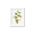 Picture of Leaf Mirage I _GroupedProduct_Rectangle_Portrait_Framed_Matted_