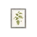 Picture of Leaf Mirage I _GroupedProduct_Rectangle_Portrait_Framed_Matted_