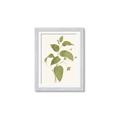 Picture of Leaf Mirage I _GroupedProduct_Rectangle_Portrait_Framed_Matted_