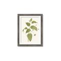 Picture of Leaf Mirage I _GroupedProduct_Rectangle_Portrait_Framed_Matted_
