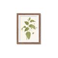 Picture of Leaf Mirage I _GroupedProduct_Rectangle_Portrait_Framed_Matted_