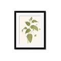 Picture of Leaf Mirage I _GroupedProduct_Rectangle_Portrait_Framed_Matted_