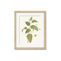 Picture of Leaf Mirage I _GroupedProduct_Rectangle_Portrait_Framed_Matted_