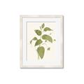 Picture of Leaf Mirage I _GroupedProduct_Rectangle_Portrait_Framed_Matted_