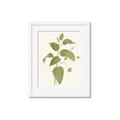 Picture of Leaf Mirage I _GroupedProduct_Rectangle_Portrait_Framed_Matted_