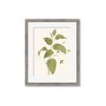 Picture of Leaf Mirage I _GroupedProduct_Rectangle_Portrait_Framed_Matted_