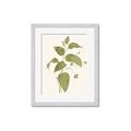 Picture of Leaf Mirage I _GroupedProduct_Rectangle_Portrait_Framed_Matted_