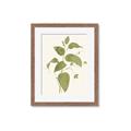 Picture of Leaf Mirage I _GroupedProduct_Rectangle_Portrait_Framed_Matted_
