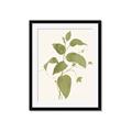 Picture of Leaf Mirage I _GroupedProduct_Rectangle_Portrait_Framed_Matted_