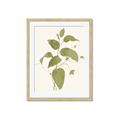 Picture of Leaf Mirage I _GroupedProduct_Rectangle_Portrait_Framed_Matted_
