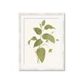 Picture of Leaf Mirage I _GroupedProduct_Rectangle_Portrait_Framed_Matted_