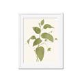 Picture of Leaf Mirage I _GroupedProduct_Rectangle_Portrait_Framed_Matted_