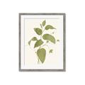 Picture of Leaf Mirage I _GroupedProduct_Rectangle_Portrait_Framed_Matted_