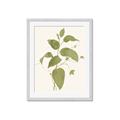 Picture of Leaf Mirage I _GroupedProduct_Rectangle_Portrait_Framed_Matted_