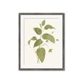 Picture of Leaf Mirage I _GroupedProduct_Rectangle_Portrait_Framed_Matted_