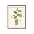 Picture of Leaf Mirage I _GroupedProduct_Rectangle_Portrait_Framed_Matted_