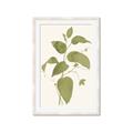 Picture of Leaf Mirage I _GroupedProduct_Rectangle_Portrait_Framed_Matted_