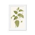 Picture of Leaf Mirage I _GroupedProduct_Rectangle_Portrait_Framed_Matted_