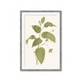Picture of Leaf Mirage I _GroupedProduct_Rectangle_Portrait_Framed_Matted_