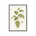Picture of Leaf Mirage I _GroupedProduct_Rectangle_Portrait_Framed_Matted_