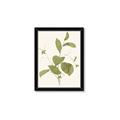 Picture of Leaf Mirage II _GroupedProduct_Rectangle_Portrait_Framed_Matted_