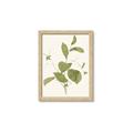 Picture of Leaf Mirage II _GroupedProduct_Rectangle_Portrait_Framed_Matted_