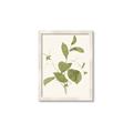 Picture of Leaf Mirage II _GroupedProduct_Rectangle_Portrait_Framed_Matted_