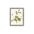 Picture of Leaf Mirage II _GroupedProduct_Rectangle_Portrait_Framed_Matted_