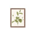 Picture of Leaf Mirage II _GroupedProduct_Rectangle_Portrait_Framed_Matted_