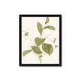 Picture of Leaf Mirage II _GroupedProduct_Rectangle_Portrait_Framed_Matted_